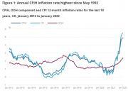 Thumbnail for article : Consumer Price Inflation, UK: January 2022 - CPI Inflation Highest Since May 1992