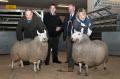 Thumbnail for article : Dingwall & Highland Marts Sale 25 February 2010