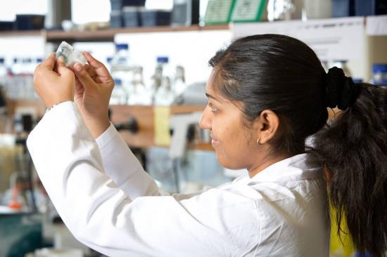 Photograph of Innovation Support To Help Your Company Grow Faster