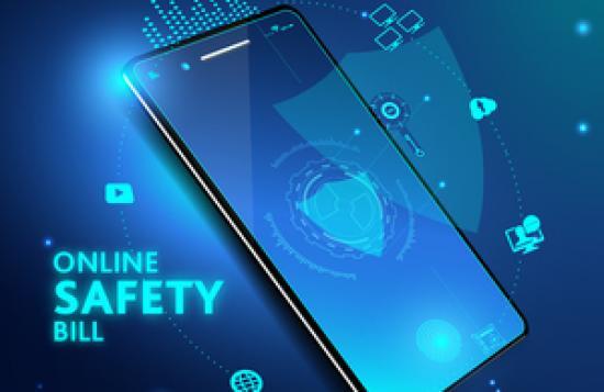 Photograph of New Plans To Protect People From Anonymous Trolls Online