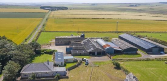 Photograph of Scottish Farm Income Statistics