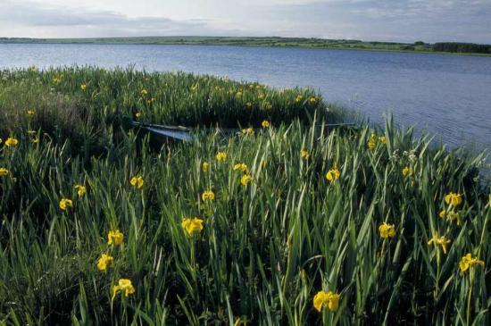 Photograph of Climate Change Affecting Scotland's Lochs And Reservoirs