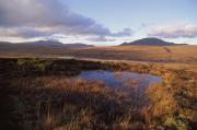 Thumbnail for article : Flow Country Partnership To Hold 16-day Consultation Tour Of Caithness & Sutherland