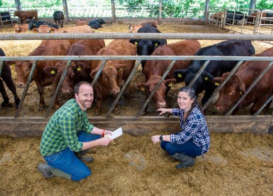 Photograph of Green Light For £3m Greenshed - New Funding For Renewable Methane Capture System