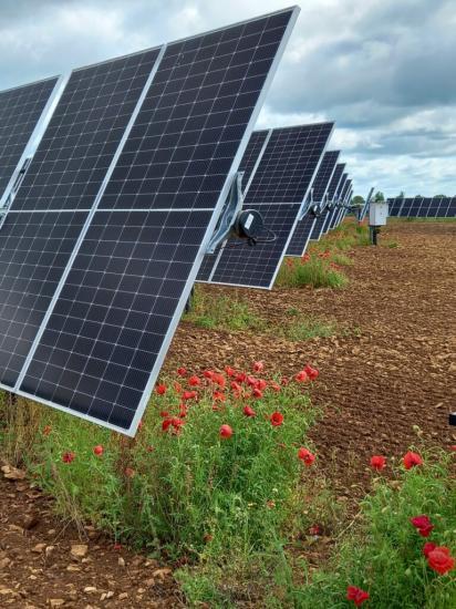 Photograph of Solar Farms A Blight On The Landscape? - Research Shows They Can Benefit Wildlife