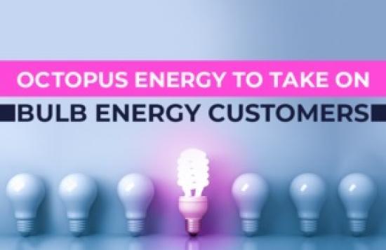Photograph of UK Government Approves Agreement Between Bulb And Octopus Energy, Providing Certainty To 1.5 Million Customers