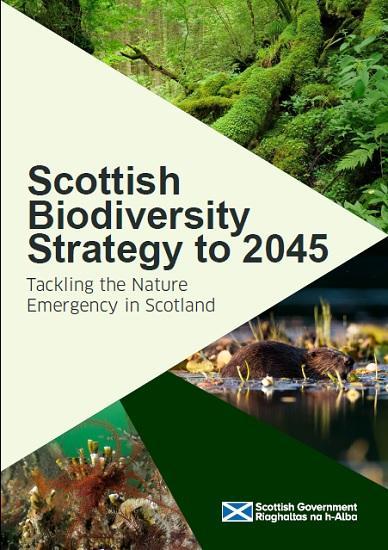 Scottish Biodiversity Strategy to 2045 - Tackling the Nature Emergency ...