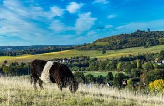 Photograph of Government To Pay More To Farmers Who Protect And Enhance The Environment In England