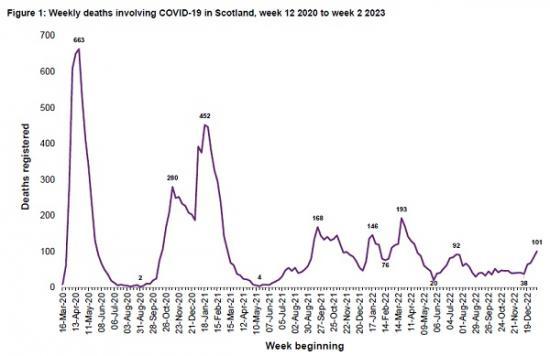 Photograph of Flu Deaths In Scotland Highest For Over 20 Years And Covid Deaths Rising Again