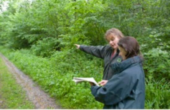 Photograph of Ground-breaking Apprenticeship Programme For The Forestry Sector Reopens