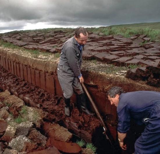 Photograph of Ending The Sale Of Peat In Scotland - Phasing out use of peat to protect the environment