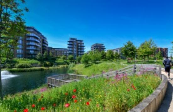 Photograph of England To Build New Homes With Biodiversity In Mind