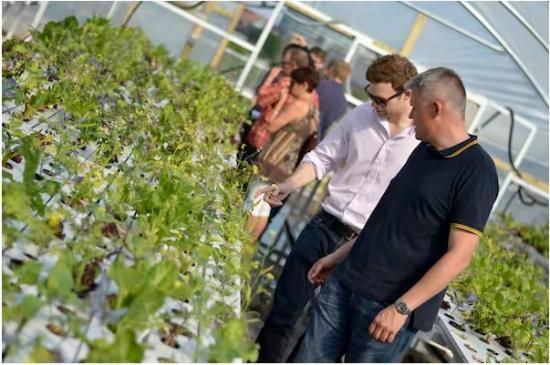 Photograph of Food Security - Vertical Farming Sounds Fantastic Until You Consider Its Energy Use
