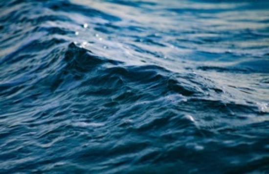 Photograph of Quota Cap Removed For 2023 - Fishers On The 440 Under-10m Vessels