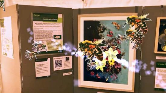 Photograph of Digital Tapestry Contract Awarded to Zubr Curio 