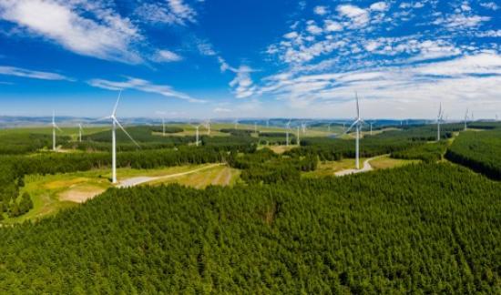 Photograph of The UKs Green-powered Future - Five Leading Wind Farm Projects