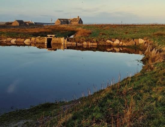 Photograph of John O'Groats Mill - Come Help Us Plant Some Trees!