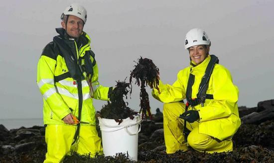 Photograph of BBC Inside The Factory visits Wick-based SHORE for seaweed harvest - episode broadcasting Tuesday 25 April