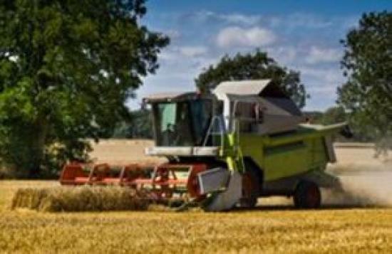 Photograph of Cutting-edge Farming Projects To Get Share Of £30 Million