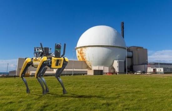 Photograph of Robotic Dogs Arrive On Site At Dounreay - Forget AI Think Dogs