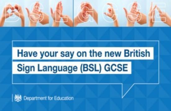 Photograph of British Sign Language GCSE Moves One Step Closer To The Classroom South of The Border