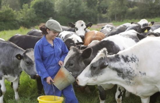 Photograph of New Regulations To Promote Fairness And Transparency For Dairy Sector