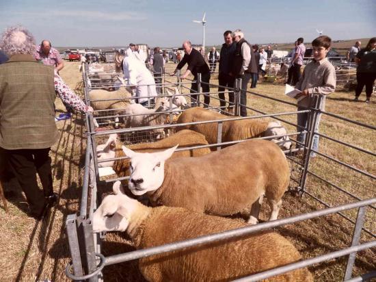 Photograph of Latheron Show 2023