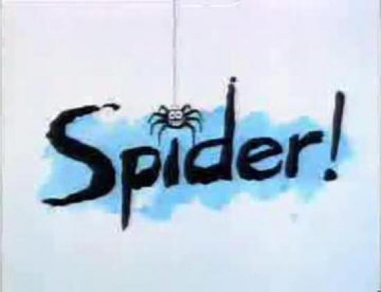 Photograph of Driving And Spiders In The UK - The Eight-legged Fine You Didn't See Coming