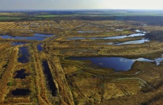 Photograph of Thousands Of Hectares Of Peatlands Set To Be Restored To Help Tackle Climate Change