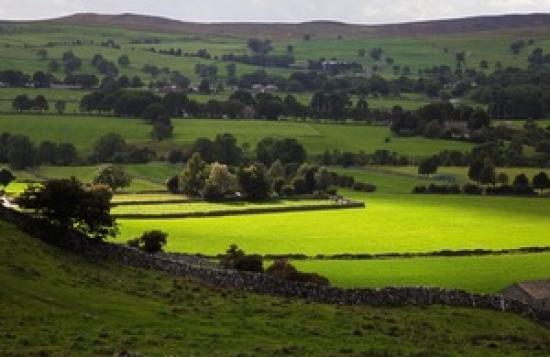 Photograph of Plan To Boost British Produce On Back British Farming Day