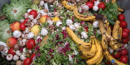 Photograph of People Who Grow Their Own Fruit And Veg Waste Less Food And Eat More Healthily, Says Research