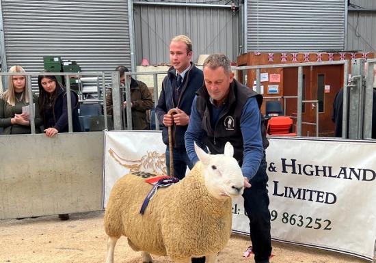 Photograph of Dingwall and Highland Marts Ltd - Ram Sale 23 September 2023