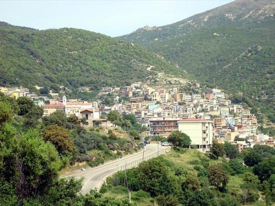 Photograph of Centenarian Blood Tests Give Hints Of The Secrets To Longevity