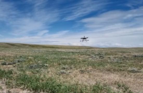 Photograph of UK Research Into Mine Detecting Drones Could Change Land Warfare