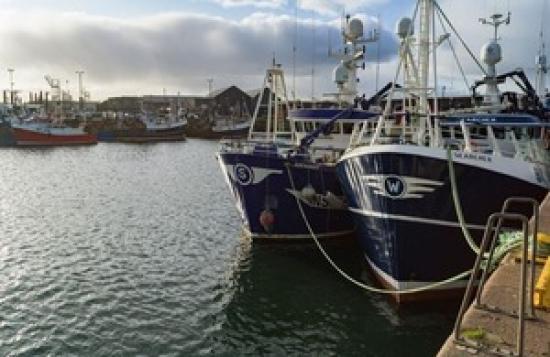 Photograph of Seven  Projects Net Additional Funding Through UK Seafood Fund