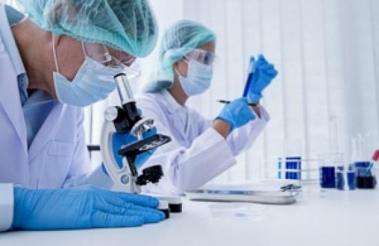 Photograph of Sales Of Veterinary Antibiotics In The UK Reach Lowest Ever Level