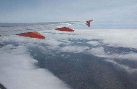 Photograph of UK SAF Industry Goes From Forest Waste To New Heights With £53 Million Boost
