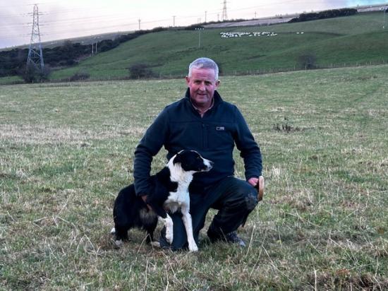 Photograph of Dingwall and Highland Marts Ltd  - First Highland Sheep Dog Sale - 24 November 2023 - Caithness Dog Gets A High Price