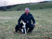 Thumbnail for article : Dingwall and Highland Marts Ltd  - First Highland Sheep Dog Sale - 24 November 2023 - Caithness Dog Gets A High Price