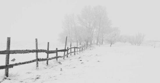 Photograph of Wick High School Closed Tuesday 16th January Due To Weather Conditions