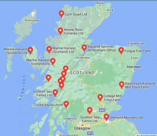 Photograph of Views From The Fish Farming Industry - The business reset needs to be turbo-charged