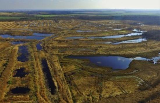 Photograph of Flow Country Scotland: Peatland restoration could generate £400m for northern Highlands within 20 years