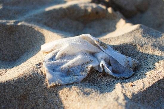 Photograph of Ban On Wet Wipes Containing Plastic