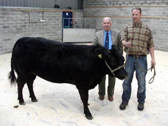 Photograph of Dingwall & Highland Marts Ltd - Sale 20th July 2011