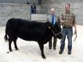Thumbnail for article : Dingwall & Highland Marts Ltd - Sale 20th July 2011