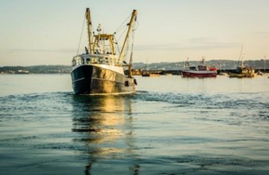 Photograph of UK Fishing Industry To Benefit From Cutting-edge Technology To Help Manage Fish Stocks