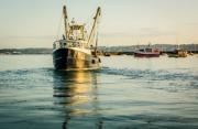 Thumbnail for article : UK Fishing Industry To Benefit From Cutting-edge Technology To Help Manage Fish Stocks