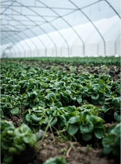 Photograph of Today's Record Prices Don't Reflect The True Cost Of Food - But There Are Alternatives To Asking Consumers To Pay Even More