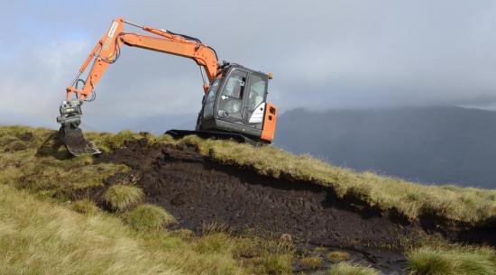 Photograph of Record High Peatland Restoration