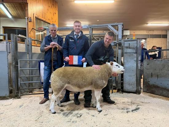 Photograph of Dingwall Ram Sale Report - Sale 21 September 2024